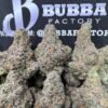 Lemon Cherry Zkittlez 1767258335672 Dka4bk IMG5195 100x100
