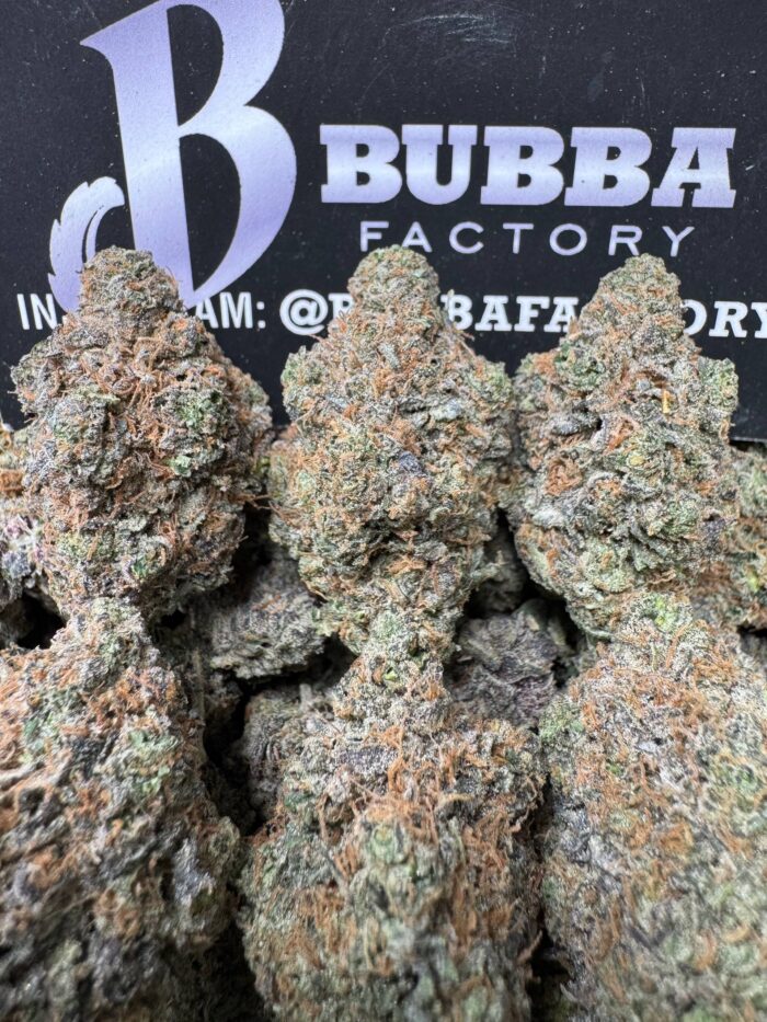 1767258415270 Oindch IMG5197 700x933