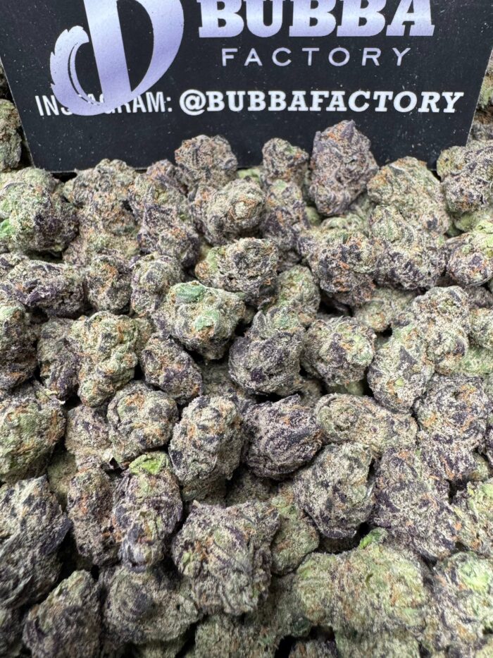 1767349316517 19e2d IMG5249 700x933