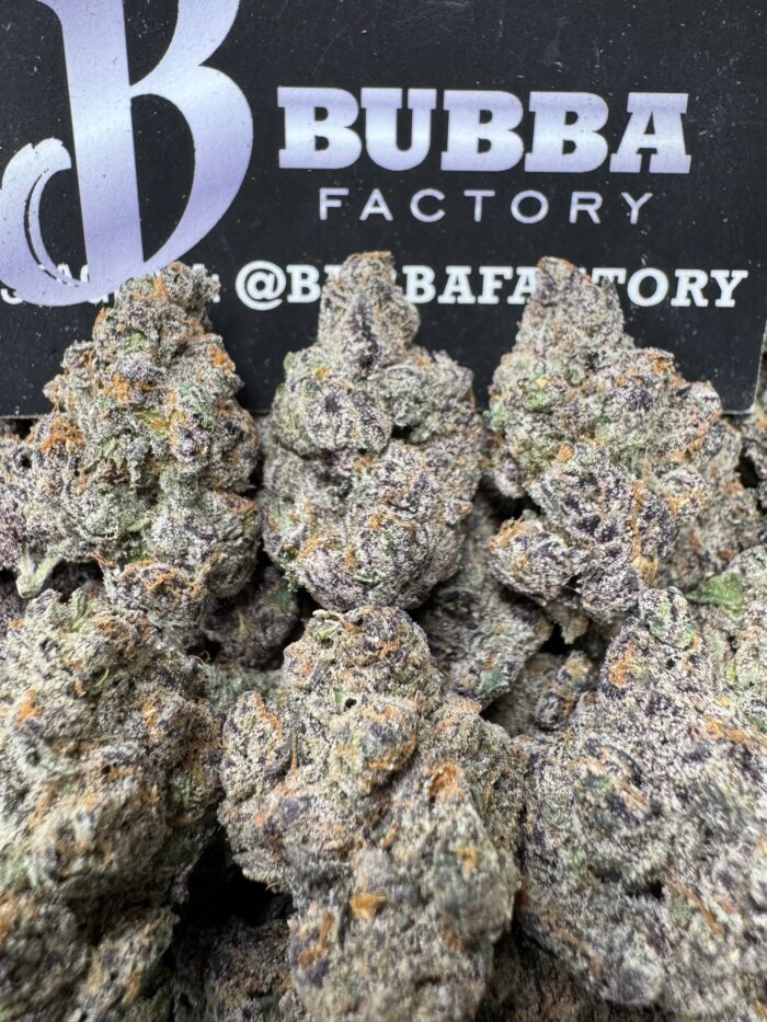 1767349408053 T2rkx9 IMG5251 700x933