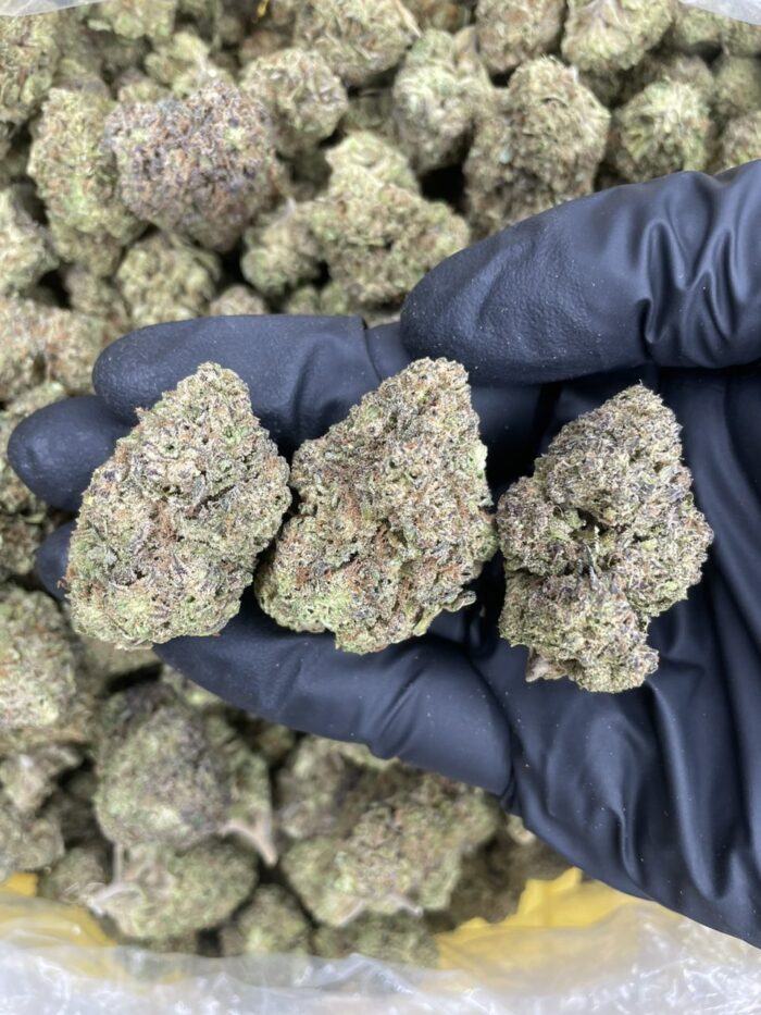 IMG 20260113 142023 958 700x933