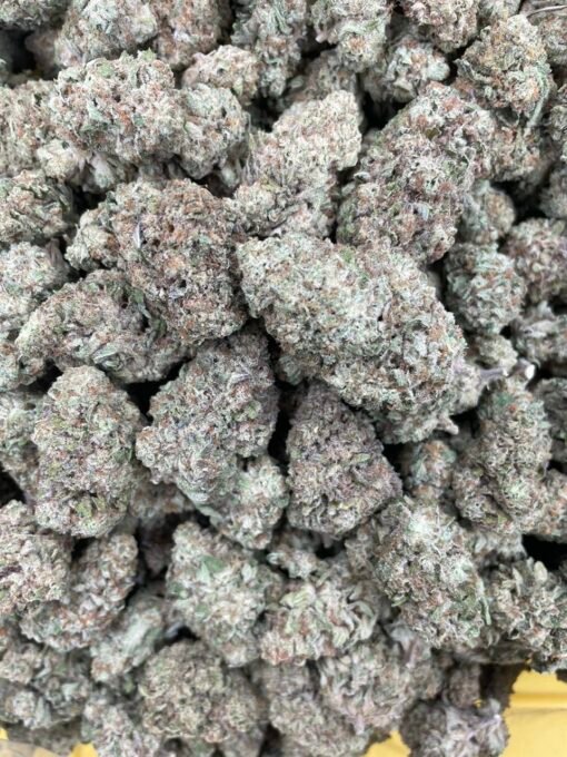 CHERRY PUNCH IMG 20260113 144842 382 510x680